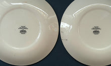 Load image into Gallery viewer, JOB LOT. Rare 1980s Midwinter Pattern &quot;SAFARI&quot; Zebra Stripes by Roy Midwinter
