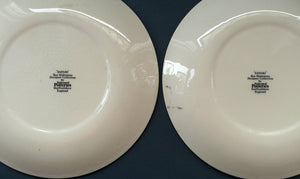 JOB LOT. Rare 1980s Midwinter Pattern "SAFARI" Zebra Stripes by Roy Midwinter