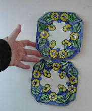 Load image into Gallery viewer, SCOTTISH POTTERY. Scottish Lady Decorator / Painter. 1930s Hand-Painted Pair of Side Plates. 6 3/4 inches
