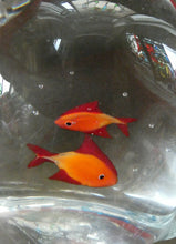 Load image into Gallery viewer, Vintage Italian Murano Glass GOLDFISH IN A BAG Model. Signed Oscar Zanetti
