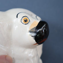 Load image into Gallery viewer, Rare Antique 19th Century Staffordshire Bank or Money Box in the Form of a Fireside Spaniel&#39;s Head
