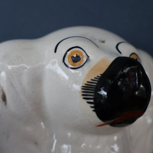 Rare Antique 19th Century Staffordshire Bank or Money Box in the Form of a Fireside Spaniel's Head