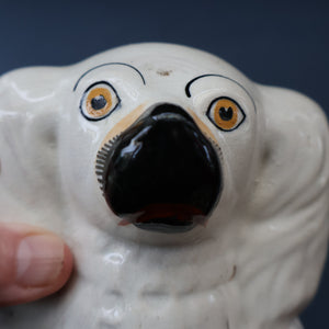 Rare Antique 19th Century Staffordshire Bank or Money Box in the Form of a Fireside Spaniel's Head