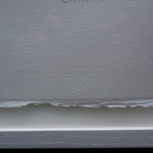 Load image into Gallery viewer, SCOTTISH ART. Woodcut. Temple Garden on a Rainy Day, Kyoto (1989) by John Houston (1930 - 2008)
