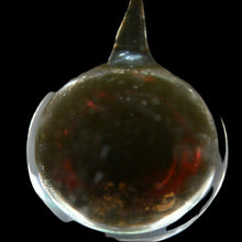 Load image into Gallery viewer, 1970s Scottish Rob Roy and Ivanhoe Oil Fields Paperweight Scottish Oil Hess
