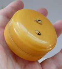 Load image into Gallery viewer, 1930s Small Circular Lidded Pill Box with Fly and Ladybird Butterscotch Bakelite
