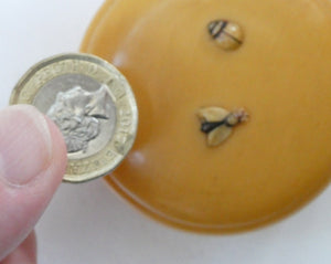 1930s Small Circular Lidded Pill Box with Fly and Ladybird Butterscotch Bakelite