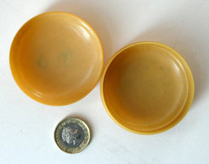 1930s Small Circular Lidded Pill Box with Fly and Ladybird Butterscotch Bakelite