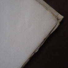 Load image into Gallery viewer, 1925 LIMITED EDITION. Song of Songs. Illustrations by Eric Gill. Published by Golden Cockerel Press
