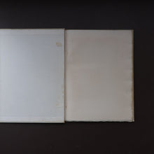 Load image into Gallery viewer, 1925 LIMITED EDITION. Song of Songs. Illustrations by Eric Gill. Published by Golden Cockerel Press
