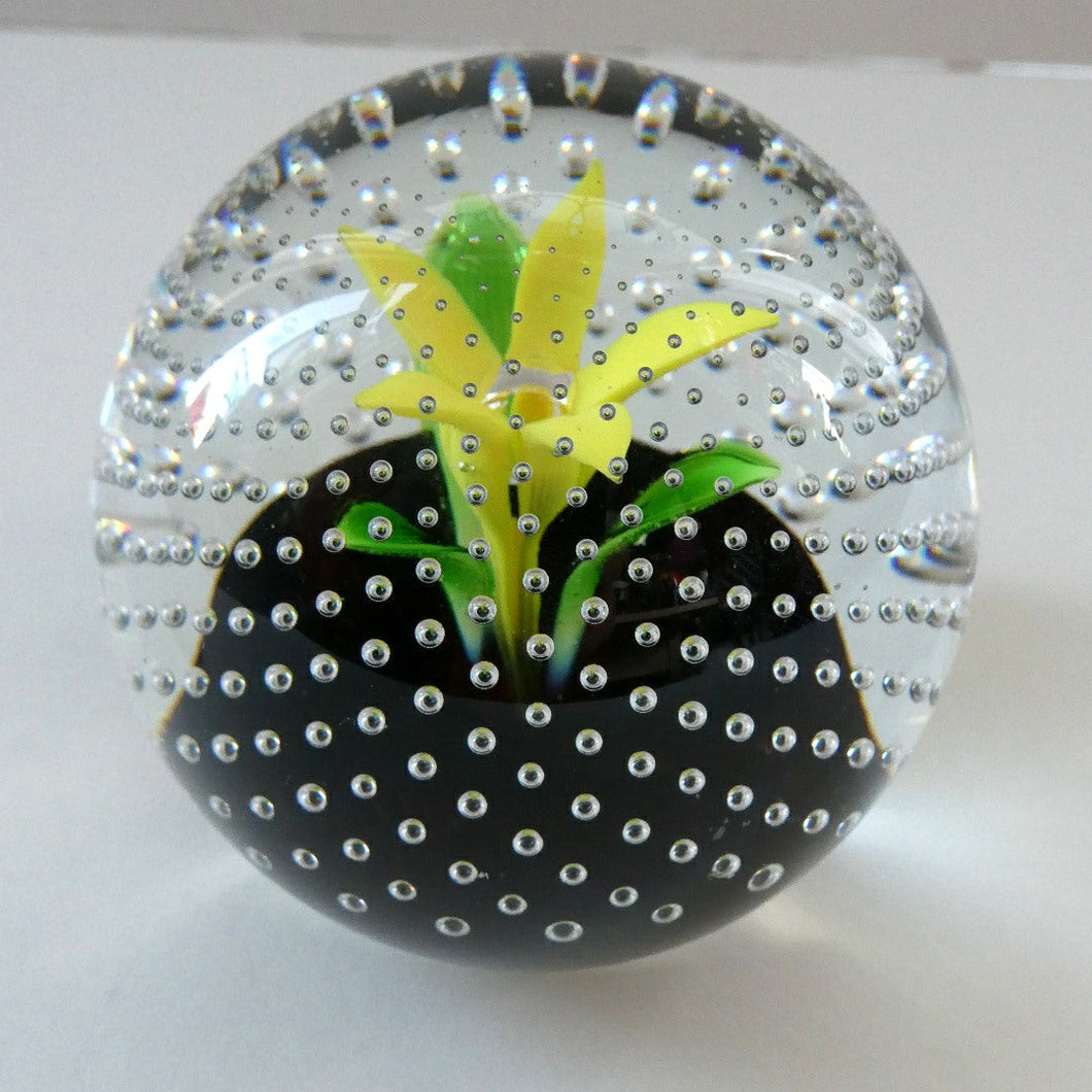 1970s Caithness Glass Paperweight Entitled Flower in the Rain YELLOW Flower