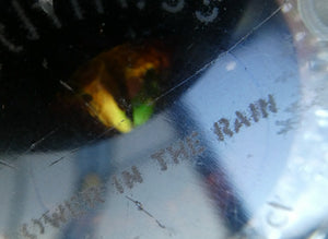 1970s Caithness Glass Paperweight Entitled Flower in the Rain YELLOW Flower