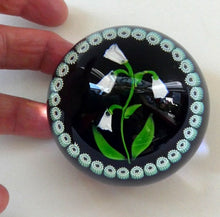 Load image into Gallery viewer, Vintage Scottish Paperweight . Lily of the Valley (MAY) White Lampwork Flower on Dark Blue Base
