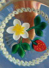 Load image into Gallery viewer, Vintage LIMITED EDITION Caithness Glass Paperweight: Signed Strawberry Blossom by William Manson
