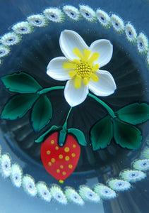 Vintage LIMITED EDITION Caithness Glass Paperweight: Signed Strawberry Blossom by William Manson