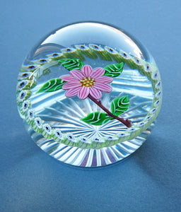  1986 LIMITED EDITION Caithness Glass Paperweight: Signed "Camelia" by William Manson