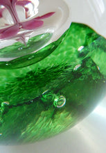 Load image into Gallery viewer, LIMITED EDITION Scottish Caithness Glass Paperweight: HYDROPONIC by Colin Terris; 1992

