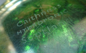 LIMITED EDITION Scottish Caithness Glass Paperweight: HYDROPONIC by Colin Terris; 1992