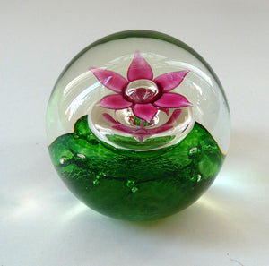 LIMITED EDITION Scottish Caithness Glass Paperweight: HYDROPONIC by Colin Terris; 1992