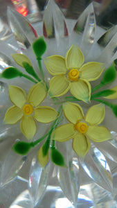 COLIN TERRIS 1994 Limited Edition Caithness Glass Paperweight. Narcissus Daffodil Design