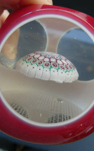 LARGE Vintage MURANO Faceted Paperweight with Double Overlay & Internal Millefiori Floating Mushroom