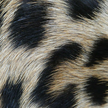 Load image into Gallery viewer, Vintage 1940s &quot;Panthera Pardus&quot; Leopard Skin Cigarette Case or Business Card Case
