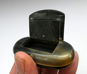 Fine Antique GEORGIAN Scottish Cow Horn Snuff Box with Hinged Lid