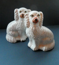 Load image into Gallery viewer, Staffordshire Dogs Chimney Spaniels / Wally Dugs. 8 1/2 inches. ANTIQUE PAIR with painted yellow eyes; c1880
