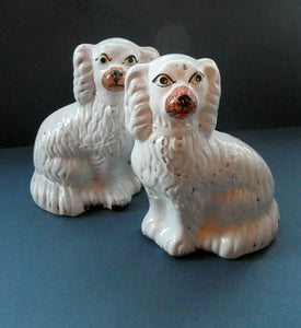 Staffordshire Dogs Chimney Spaniels / Wally Dugs. 8 1/2 inches. ANTIQUE PAIR with painted yellow eyes; c1880