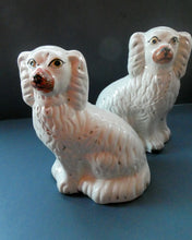 Load image into Gallery viewer, Staffordshire Dogs Chimney Spaniels / Wally Dugs. 8 1/2 inches. ANTIQUE PAIR with painted yellow eyes; c1880
