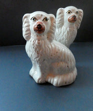 Load image into Gallery viewer, Staffordshire Dogs Chimney Spaniels / Wally Dugs. 8 1/2 inches. ANTIQUE PAIR with painted yellow eyes; c1880
