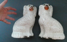 Load image into Gallery viewer, Staffordshire Dogs Chimney Spaniels / Wally Dugs. 8 1/2 inches. ANTIQUE PAIR with painted yellow eyes; c1880
