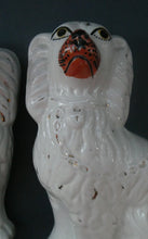 Load image into Gallery viewer, Staffordshire Dogs Chimney Spaniels / Wally Dugs. 8 1/2 inches. ANTIQUE PAIR with painted yellow eyes; c1880

