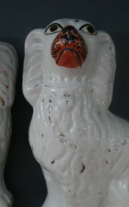 Staffordshire Dogs Chimney Spaniels / Wally Dugs. 8 1/2 inches. ANTIQUE PAIR with painted yellow eyes; c1880