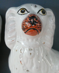 Staffordshire Dogs Chimney Spaniels / Wally Dugs. 8 1/2 inches. ANTIQUE PAIR with painted yellow eyes; c1880