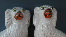 Load image into Gallery viewer, Staffordshire Dogs Chimney Spaniels / Wally Dugs. 8 1/2 inches. ANTIQUE PAIR with painted yellow eyes; c1880
