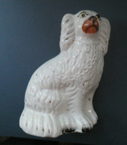 Staffordshire Dogs Chimney Spaniels / Wally Dugs. 8 1/2 inches. ANTIQUE PAIR with painted yellow eyes; c1880