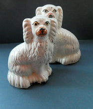 Load image into Gallery viewer, Staffordshire Dogs Chimney Spaniels / Wally Dugs. 8 1/2 inches. ANTIQUE PAIR with painted yellow eyes; c1880
