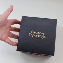 Load image into Gallery viewer, Fabulous LIMITED EDITION Scottish Caithness Glass Paperweight: Space Flower by Colin Terris; 1976 BOXED
