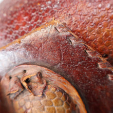 Load image into Gallery viewer, Vintage 1940s Armadillo Handbag. Purchased in Los Angeles in the 1990s
