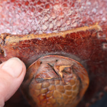 Load image into Gallery viewer, Vintage 1940s Armadillo Handbag. Purchased in Los Angeles in the 1990s
