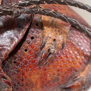 Vintage 1940s Armadillo Handbag. Purchased in Los Angeles in the 1990s