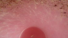 Load image into Gallery viewer, MONART Scottish Glass. Fine Vintage Art Glass Vase, 1930s. Shape GC. Mottled Pink with Black Rim Speckled with Gold Aventurine Flakes
