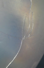 Load image into Gallery viewer, 1983 John Ditchfield Iridescent Glasform Crackle Glass Vase
