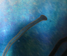 Load image into Gallery viewer, Early Ditchfield Lustre Lily-Pad Peacock Lustre Vase. Signed. Unique Collection
