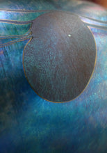 Load image into Gallery viewer, Early Ditchfield Lustre Lily-Pad Peacock Lustre Vase. Signed. Unique Collection
