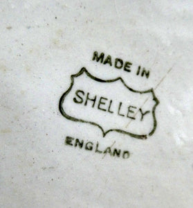 Antique Shelley Pottery Scotch Whisky Jug. Blue and White Country Pursuits Pattern