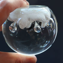 Load image into Gallery viewer, SCOTTISH PAPERWEIGHT: Vintage Caithness Paperweight: MOONFLOWER by Colin Terris. White Version
