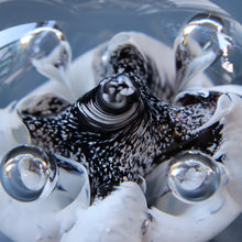 Load image into Gallery viewer, SCOTTISH PAPERWEIGHT: Vintage Caithness Paperweight: MOONFLOWER by Colin Terris. White Version
