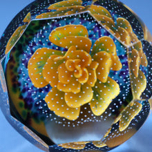 Load image into Gallery viewer, Scottish CAITHNESS GLASS Paperweight (2003) Entitled GLOBAL BEAUTY. Limited Edition of 500
